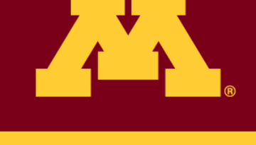 Voice To Vision, university of Minneapolis, Digital Conservancy, Shahriyar Jamshidi